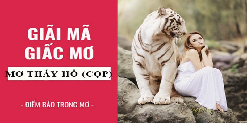 Giải mã các giấc mơ thấy hổ trong nhà